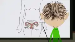 Южный Парк 5 сезон 7 серия